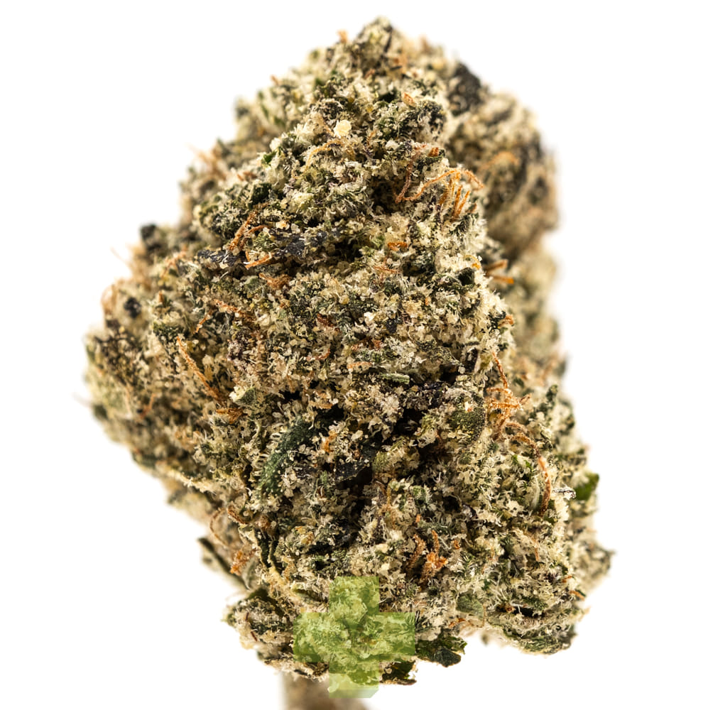 NUG — Blue Steel