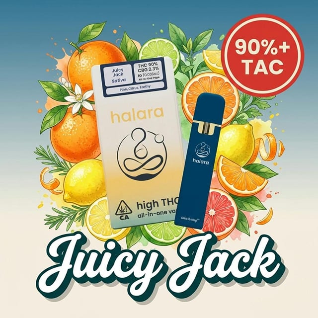 Juicy Jack | 1g AIO