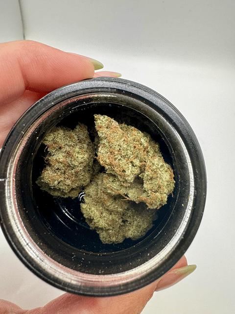 Crazy Glue Premium Flower