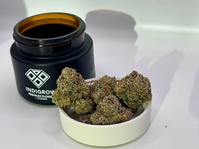 Tropicana Cookies Premium Flower
