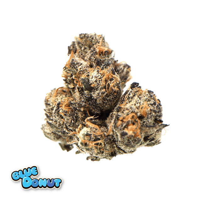 Biscotti | Minis 5g