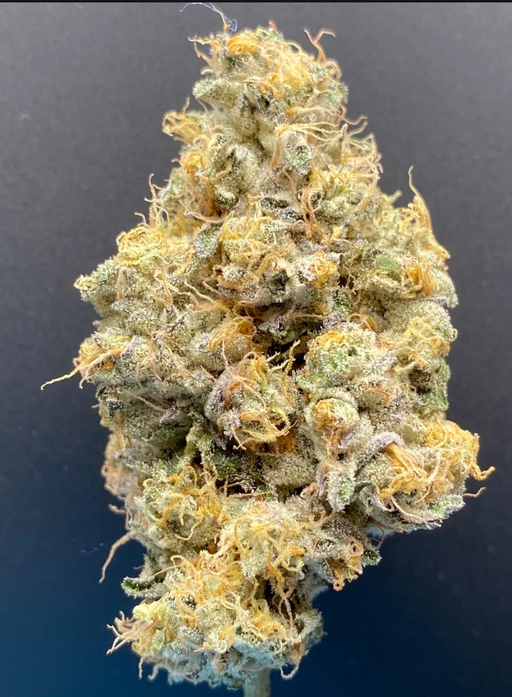 Sticky Status — Royal Wedding Cake 3.5g