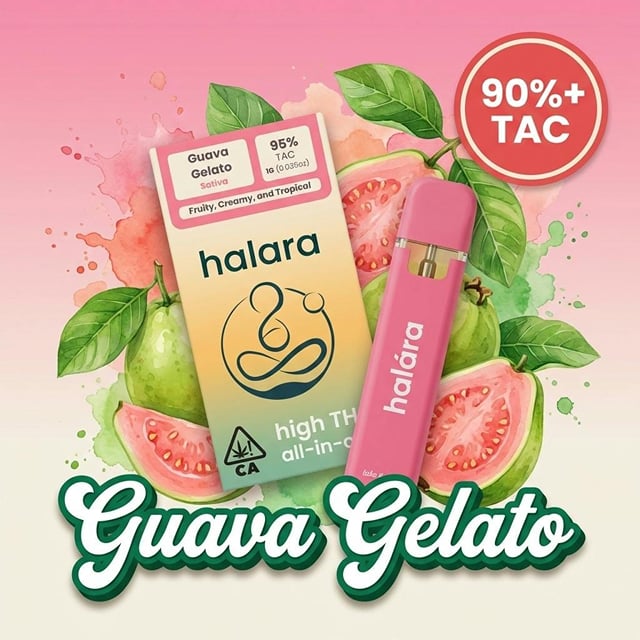 Guava Gelato | 1g AIO
