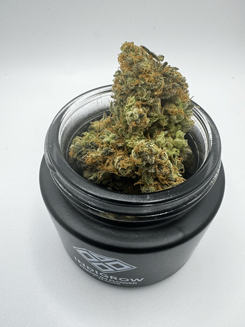 Purple Dream Ride Premium Flower