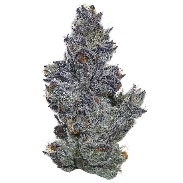 Sour Cherry Pie - 3.5g