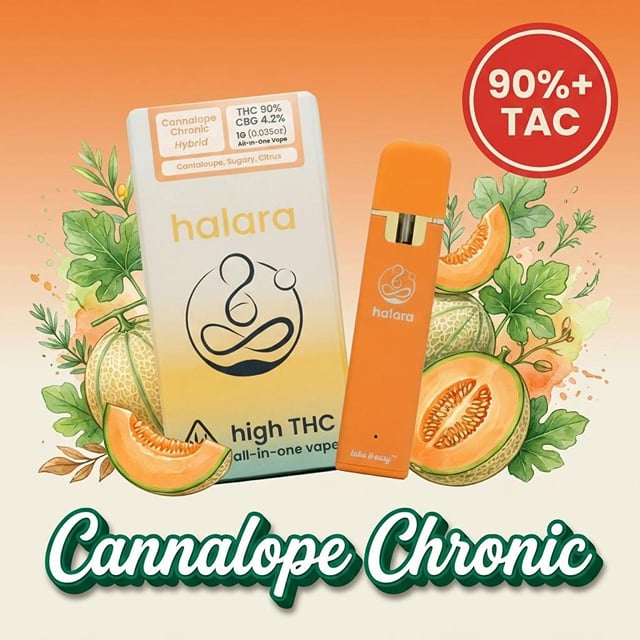 Cannalope Chronic | 1g AIO