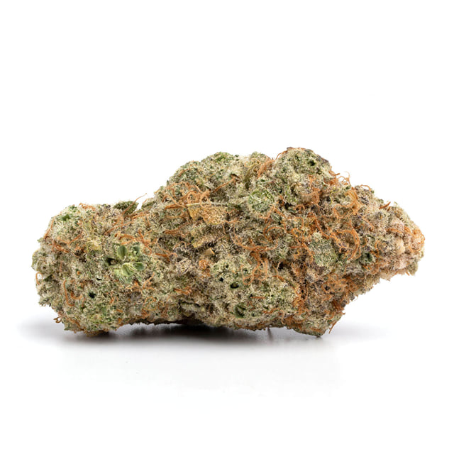 Gorilla Glue 5 Gram Special!