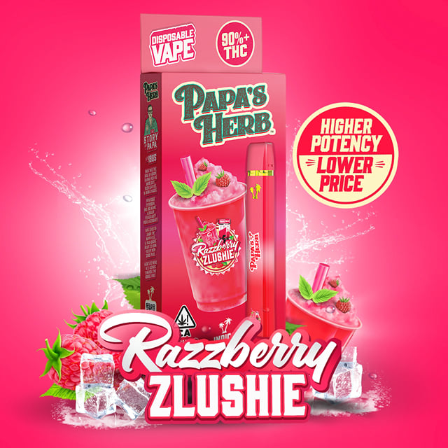 RAZZBERRY ZLUSHIE ALL IN ONE VAPE 1g
