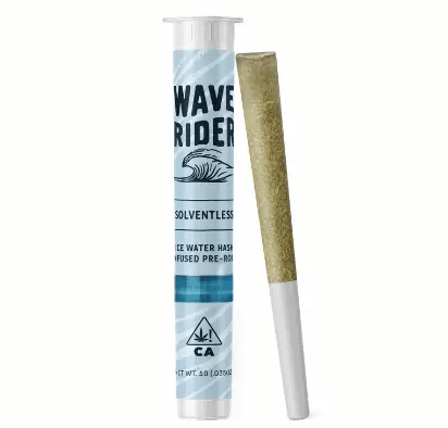Wave Rider — Orange Gelato