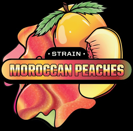 ABX / absoluteXtracts: Moroccan Peaches