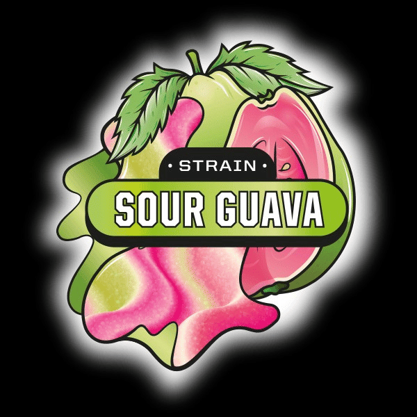 ABX / absoluteXtracts: Sour Guava