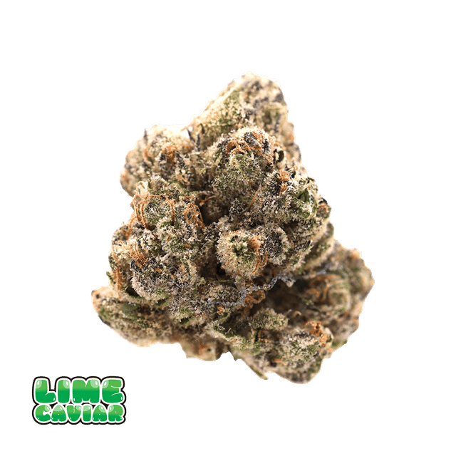 Lime Caviar | 3.5g