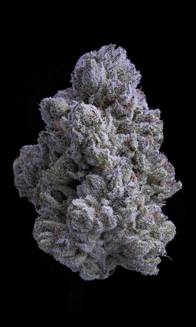 Royal Wedding Cake | 3.5g