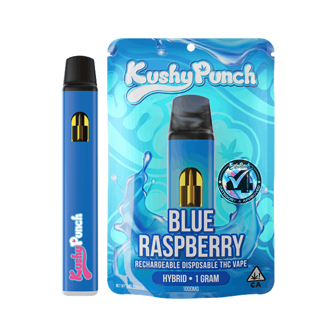 Blue Raspberry | 1g AIO