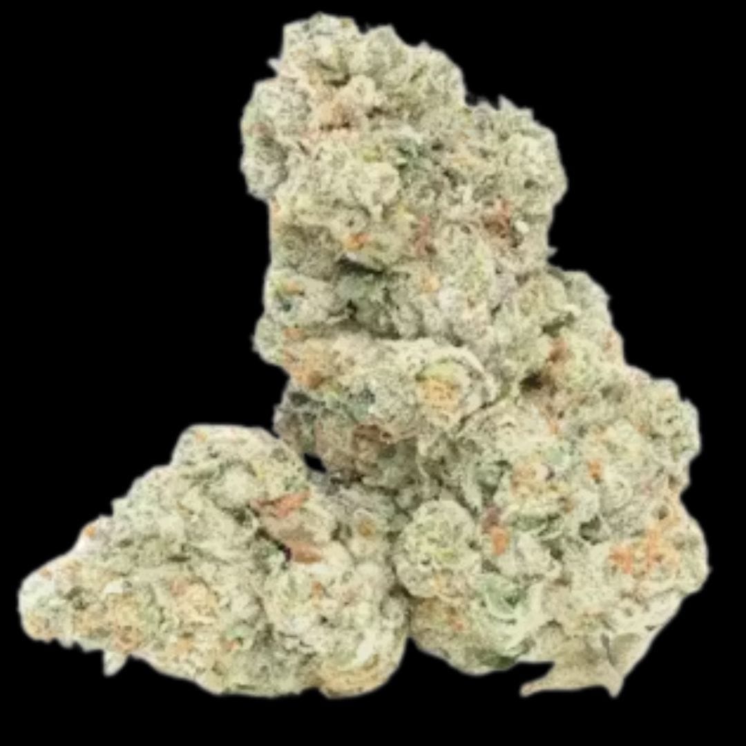 No Till Kings — Gelato 41