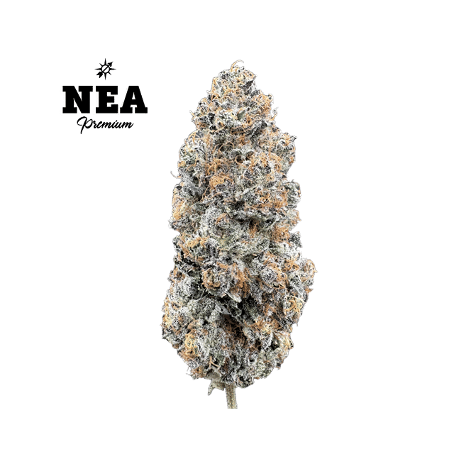 Sherbet Honey | Premium