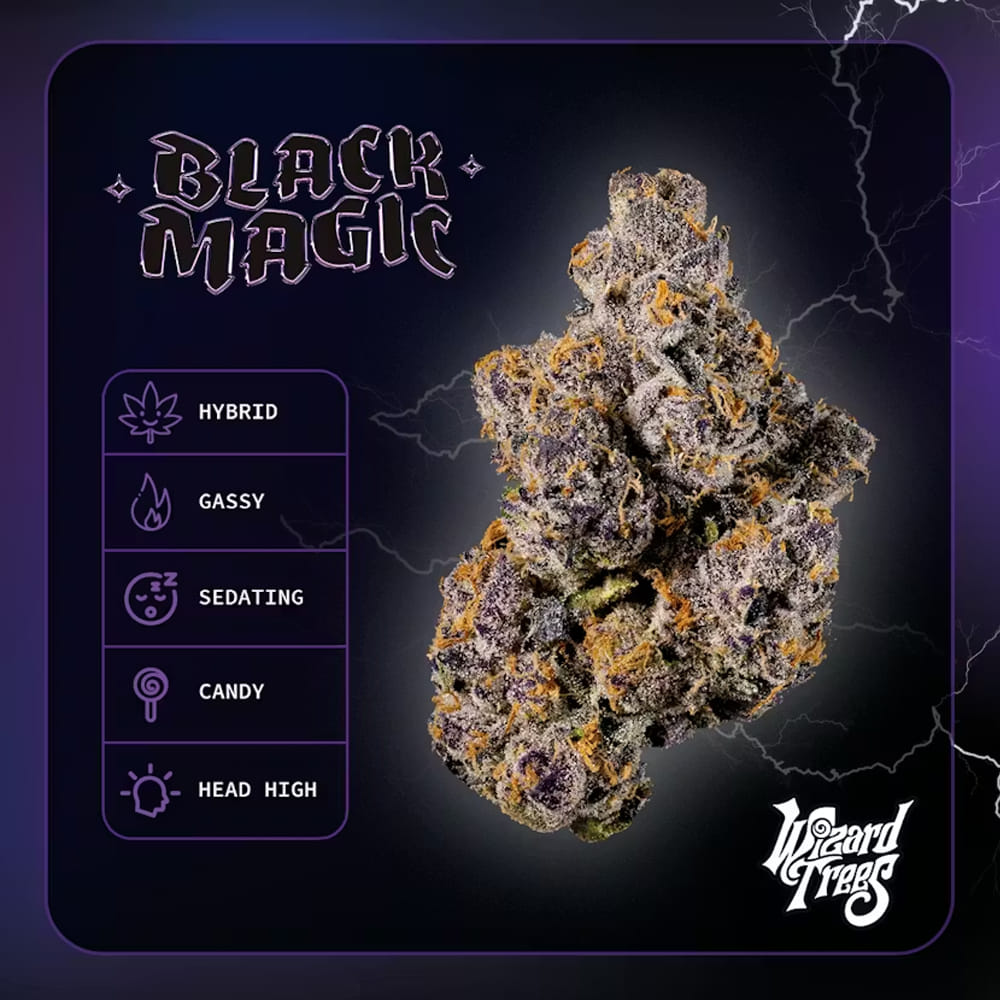 WIZARD TREES — Black Magic (I)