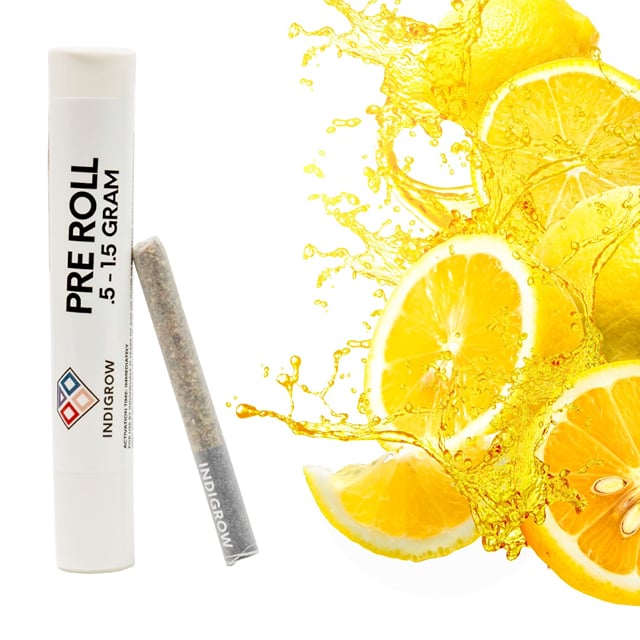 Lemon Dosi Do Pre-roll