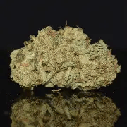 Acapulco Gold | 14g