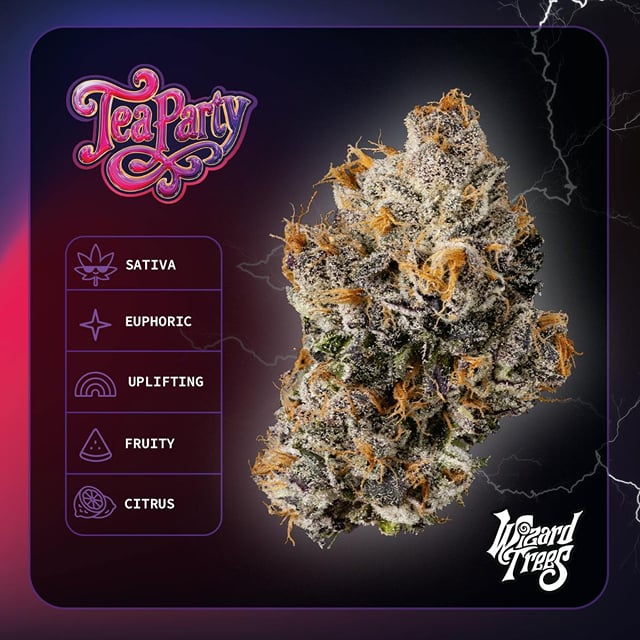 3.5g Tea Party Flower