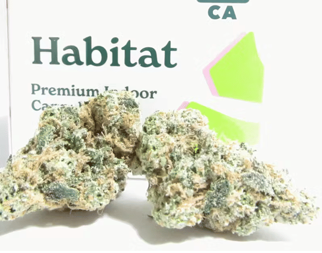 Green Habitat- Superare 3.5g Flower