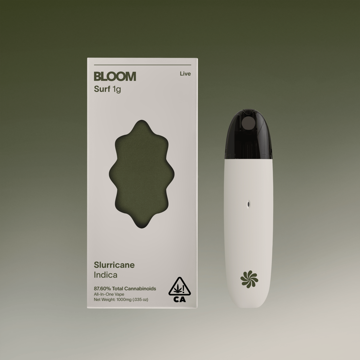 BLOOM — Slurricane Surf