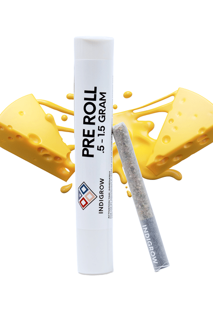 Cheddar Cheeze Pre-roll