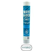 Wave Rider — Animal Sherbet