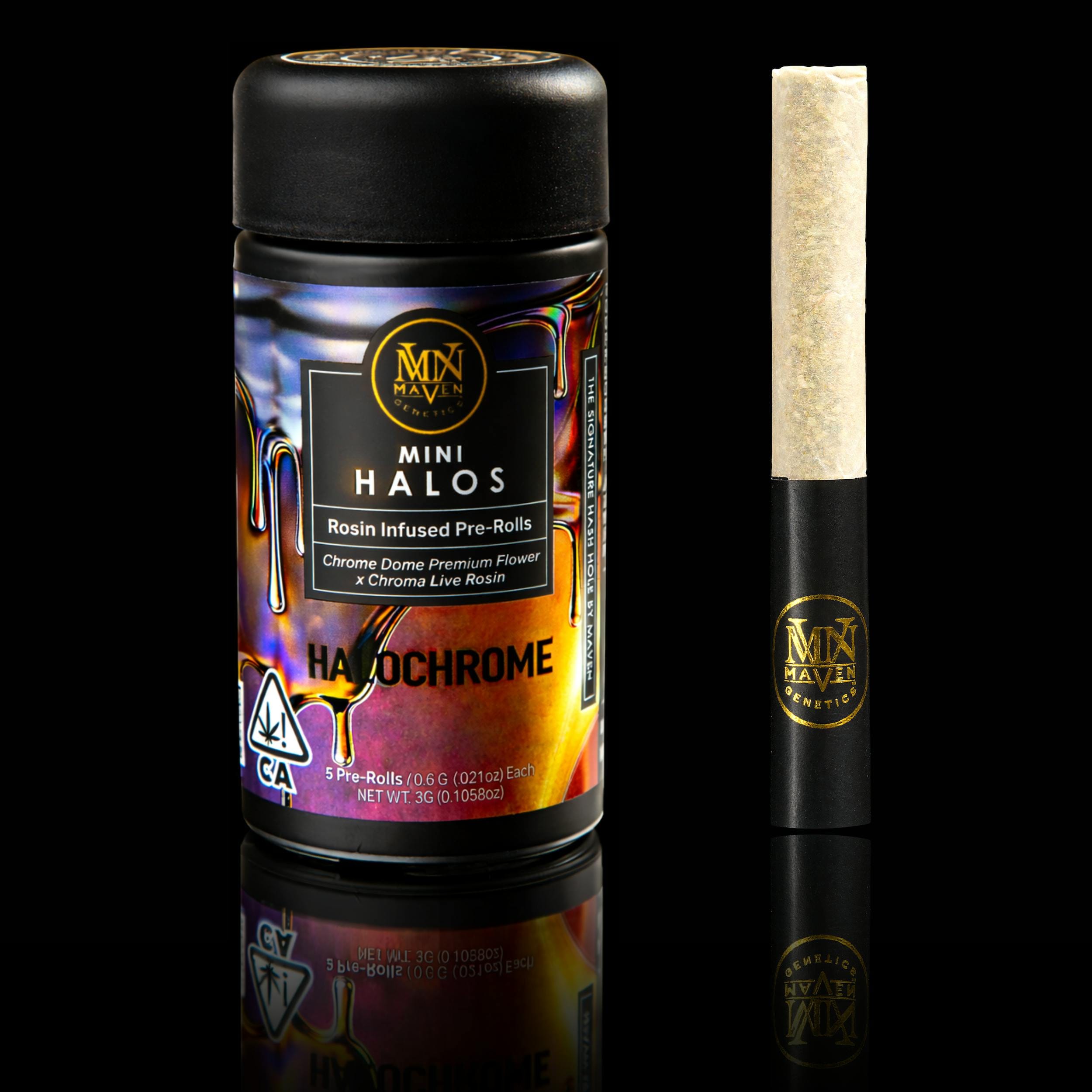 Maven Genetics: Halochrome Maven Mini Halos 5