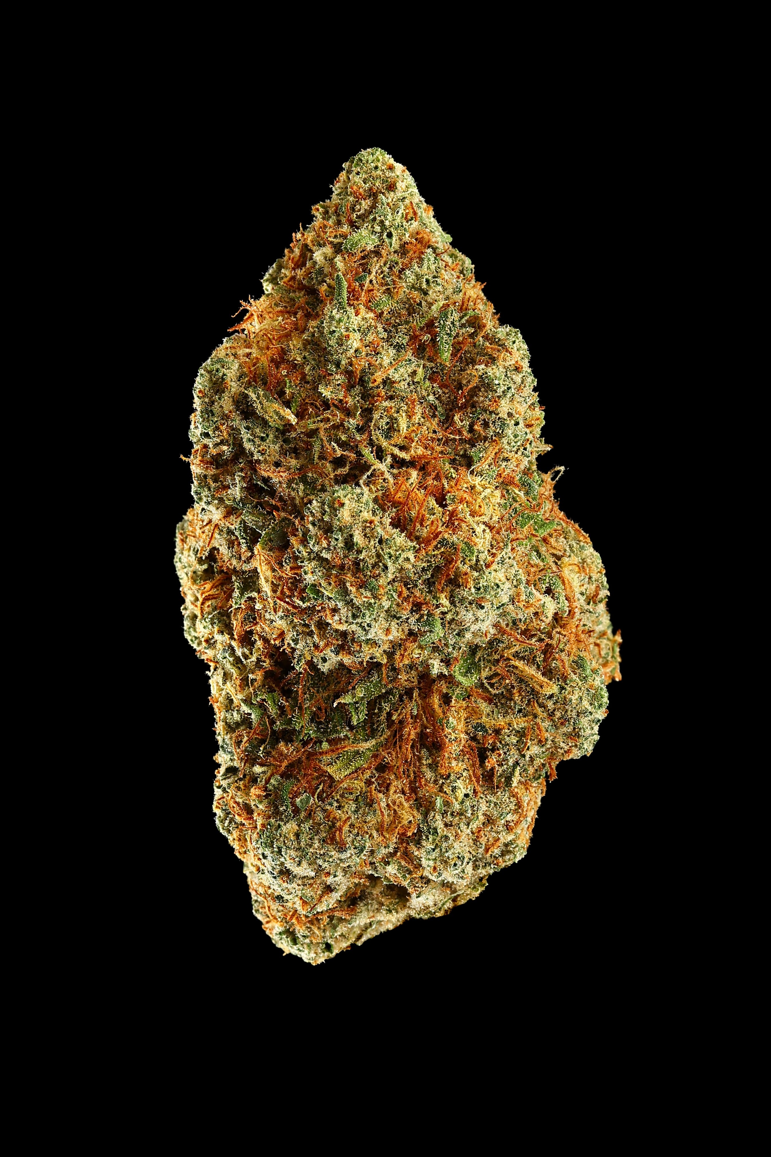Starchild-3.5g