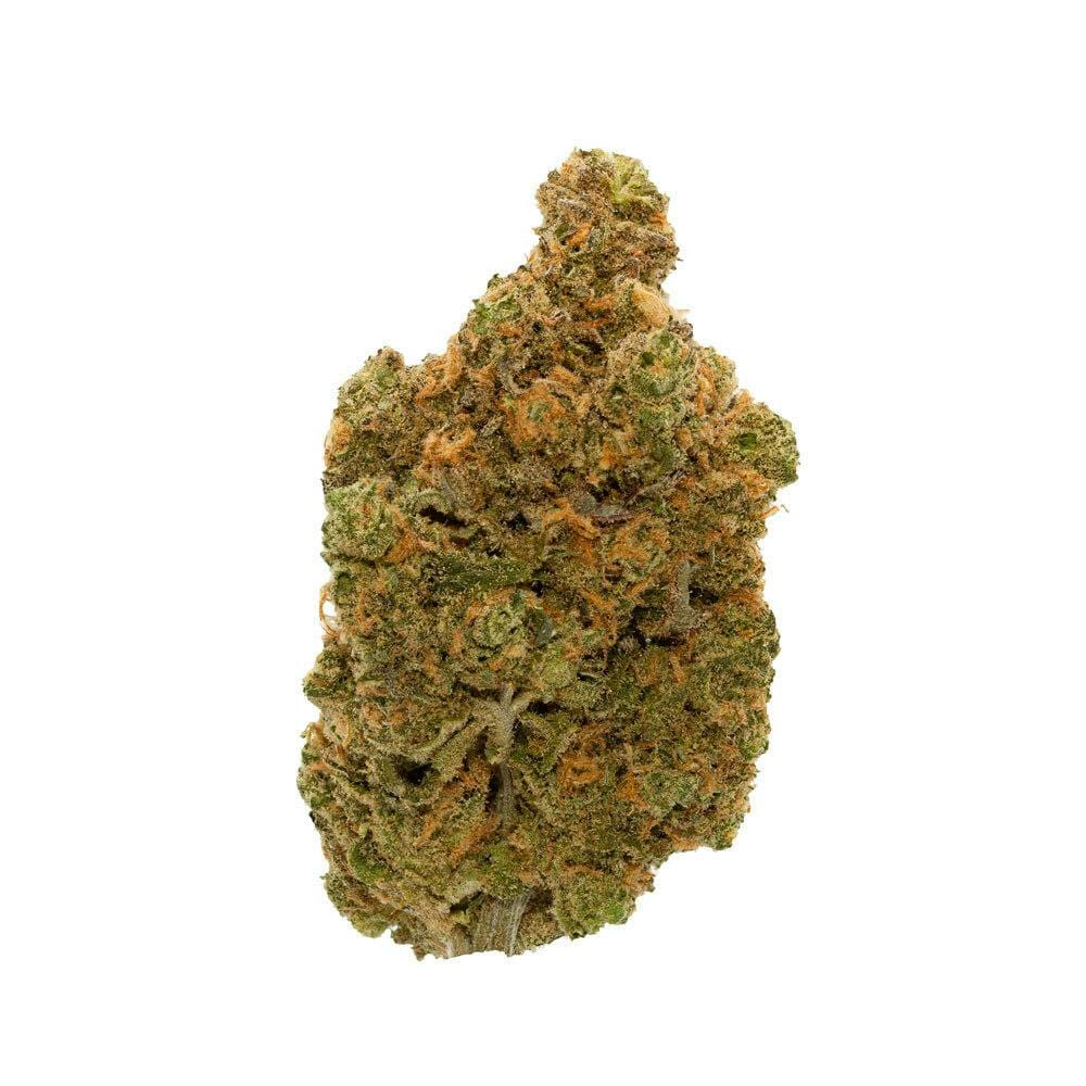 Passiflora — Lemon Haze