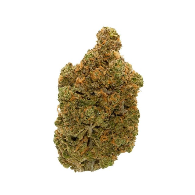 Passiflora — Lemon Haze
