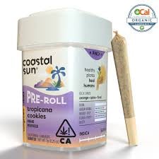 Tropicana Cookies | 7g | 0.5g x 14 Preroll Pack
