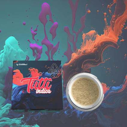 Tutti: Northern Lights