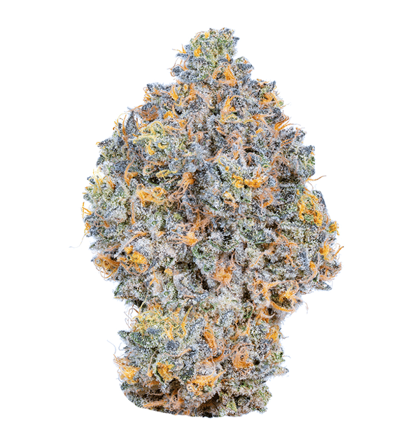 Blue Nerdz 5g