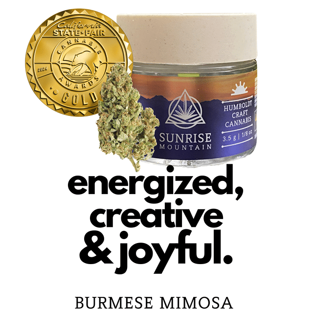 Burmese Mimosa 3.5g