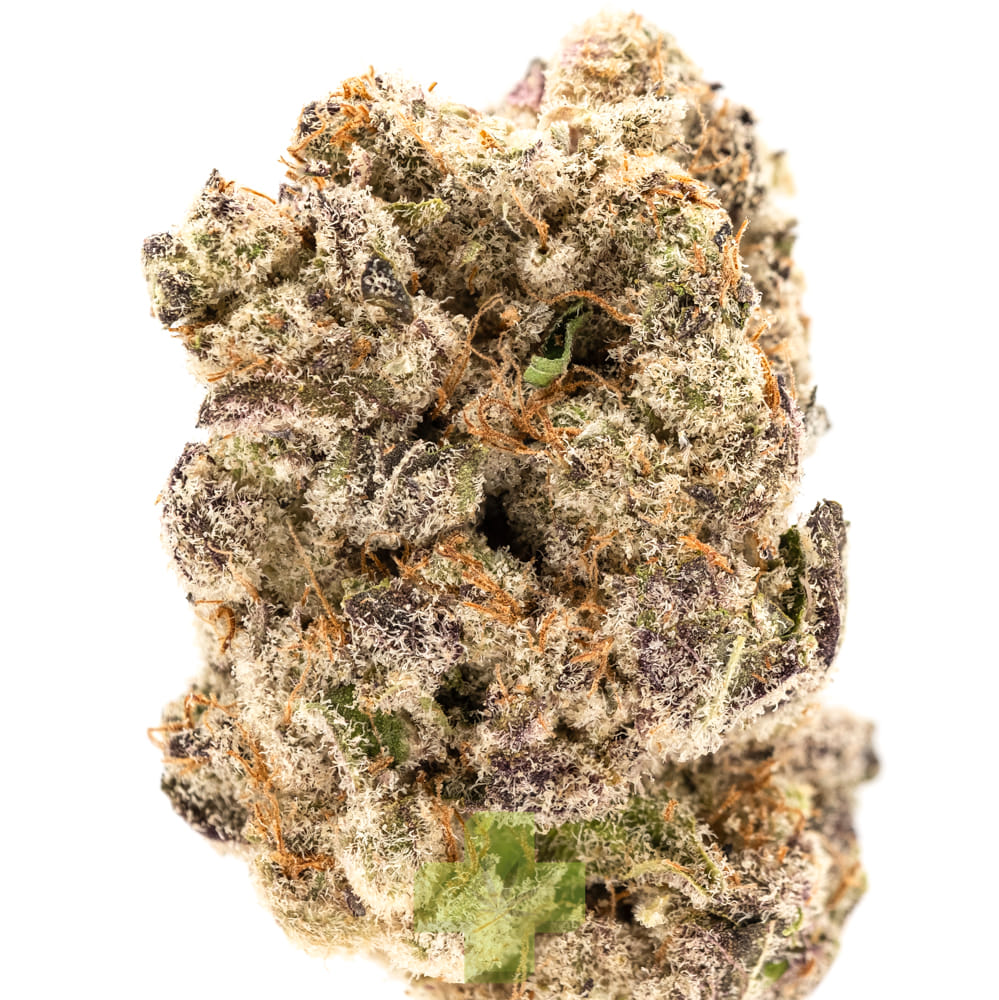 NUG — Zoap