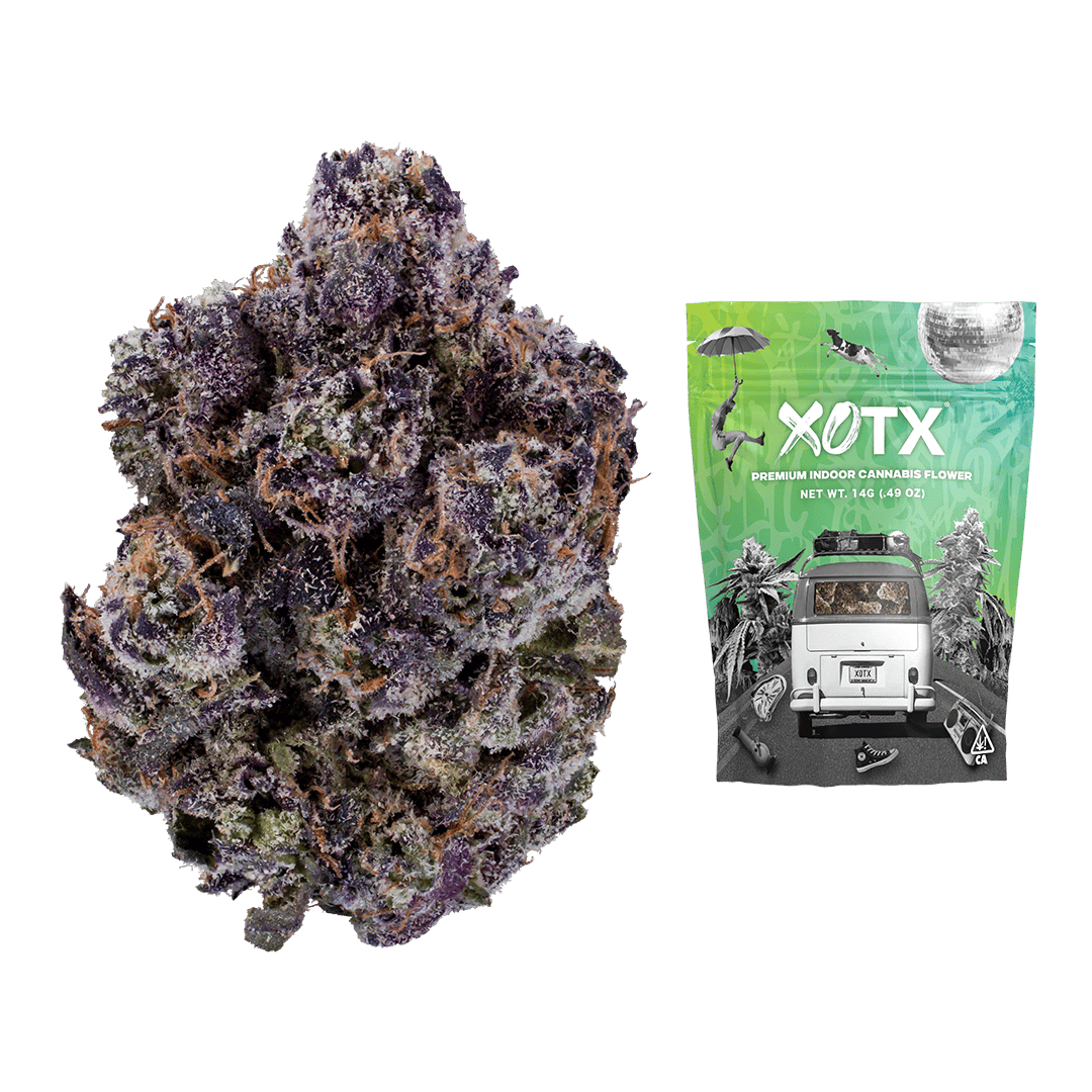 XOTX: Lemon Deluxe