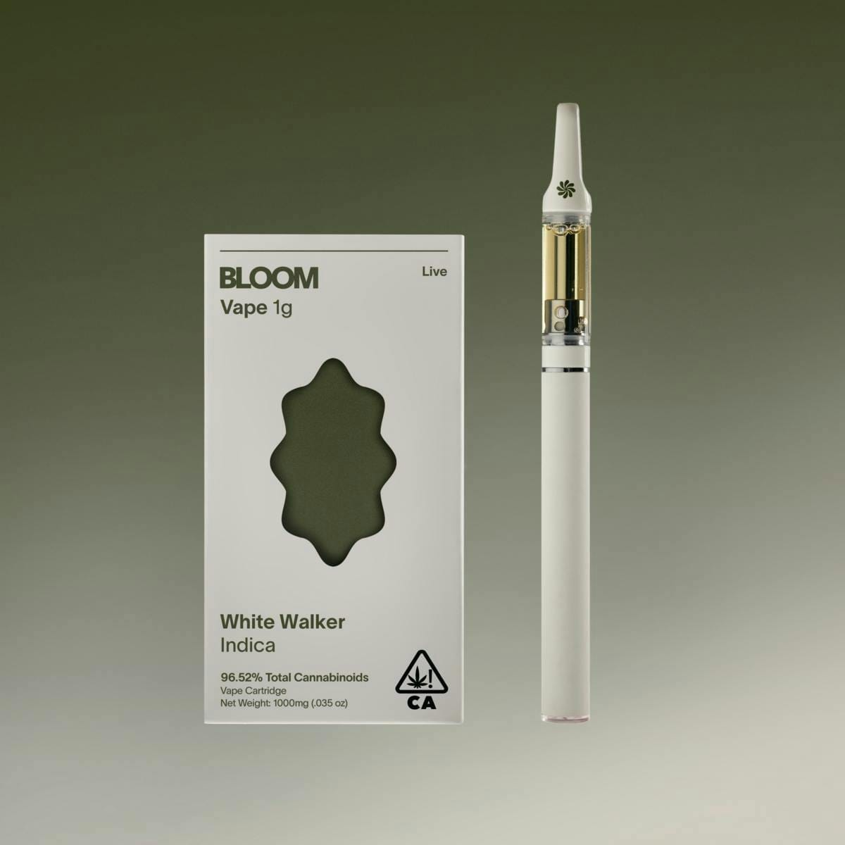 BLOOM — Slurricane