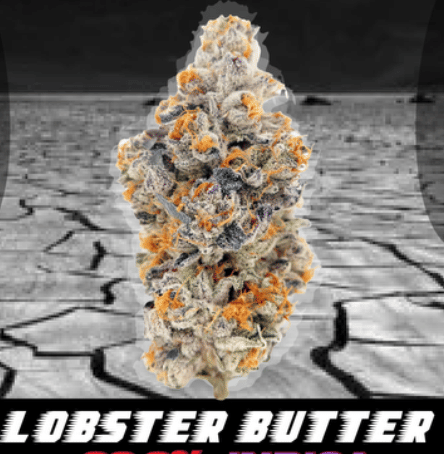 KushFace: Lobster Butter