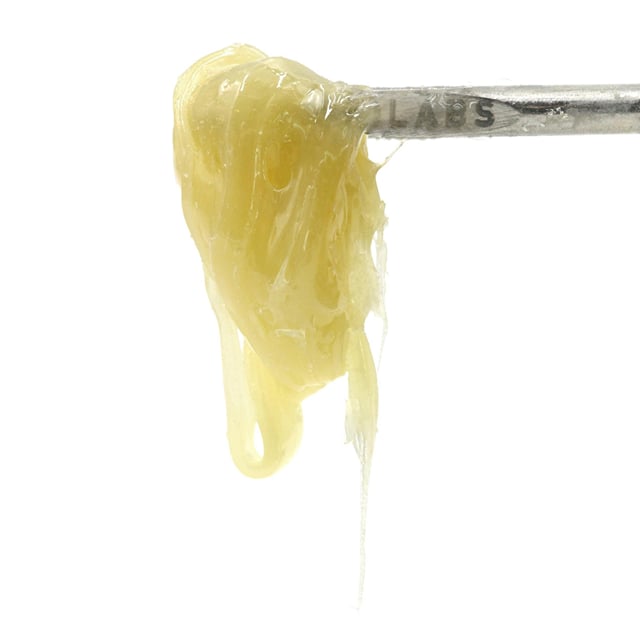 Close Friends | Randy Watzon #13 + Mango Banana #9 | Persy Thumbprint | 2g Rosin