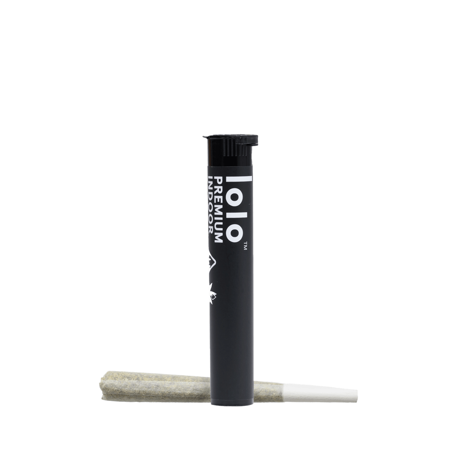 lolo: Kosher Tangie