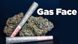 Gas Face - 3.5g