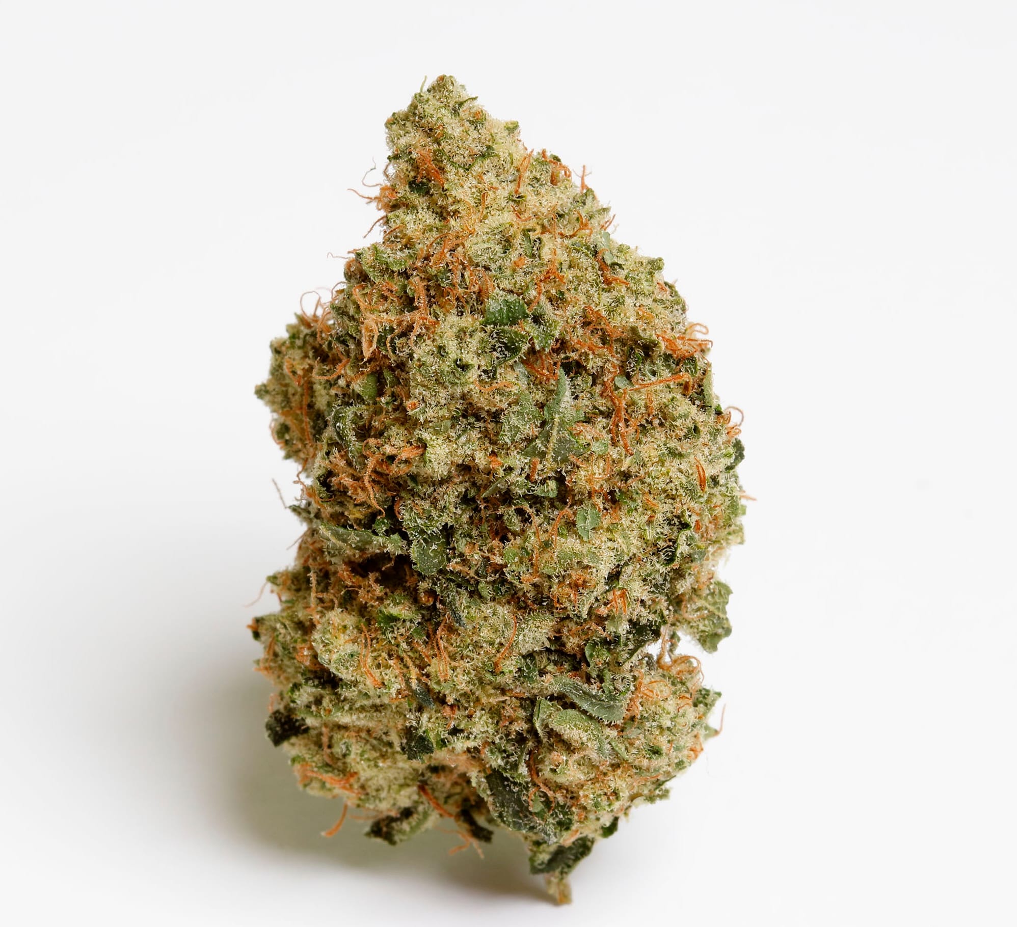 Rolls Choice | Flower | 3.5g