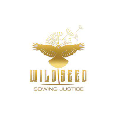 Wildseed: Cheetah Piss Live