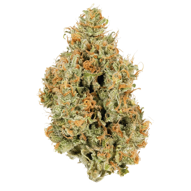 SUPER SILVER HAZE