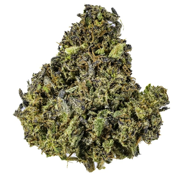 Thai Lotus - 14G Premium Flower