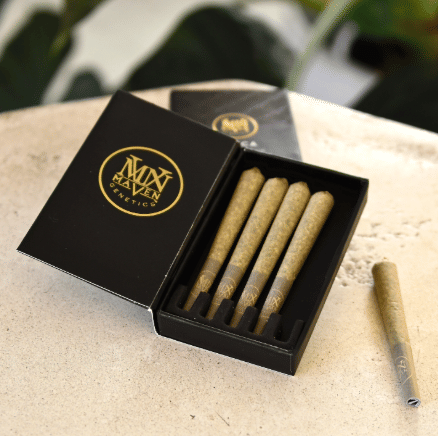 Maven Genetics — Black Lotus X