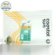 Coastal Sun: Modified Mints