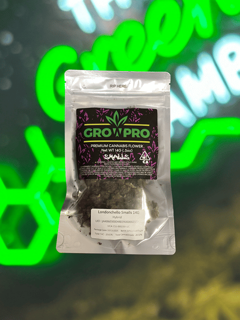 London Chello Smalls 14G